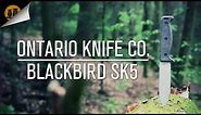 Ontario Knife Co. BlackBird SK-5 | Survival Knife | Field Review