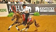 REINING CHAMPIONSHIPS AT THE KENTUCKY HORSE PARK