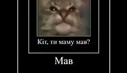 Russian Cat Meme - Mab ORIGINAL