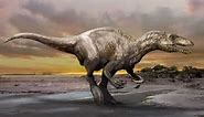 ‘Maip macrothorax’: Largest raptor dinosaur’s remains found by paleontologists