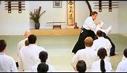 What Is Aikido? | Aikido Lessons