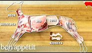 How to Butcher an Entire Lamb: Every Cut of Meat Explained | Handcrafted | Bon Appetit