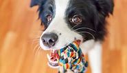 17 DIY dog toys you can make from items in your house