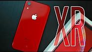 iPhone XR | سعر وتجربة ايفون جديد فى مصر 😲
