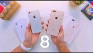 iPhone 8 vs 8 Plus Unboxing & Comparison!