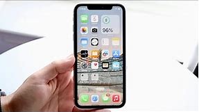 iPhone 11 In LATE 2023! (Review)
