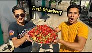 Atni Zada Fresh Strawberry Buy Kr Li
