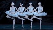 Swan Lake – Dance of the cygnets (The Royal Ballet)