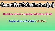 How To Convert Feet To Centimeters (cm) Explained - Formula For Feet To CM - How Many CM Is 1 Foot?