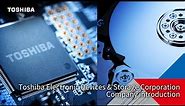 Toshiba Electronic Devices&Storage Corporation 2023