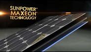 SunPower, the World's Standard for Solar: MAXEON Solar Panel Technology