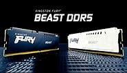 DDR5 Memory with speeds up to 6000MT/s – Kingston FURY Beast DDR5