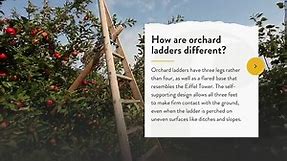 The Ins and Outs of Orchard Ladders