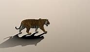Walking Tiger - Download Free 3D model by Nudelkulle