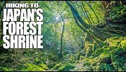 Hiking to Japan's Hidden Forest Shrine | Japan 4K