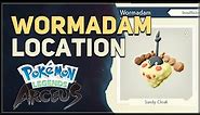 Wormadam Location Pokemon Legends Arceus