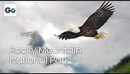 Rocky Mountain National Park: Through The Seasons
