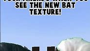 New Bat Texture in Minecraft | #shorts #minecraft #minecraftmeme