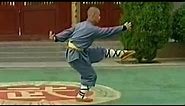 Shaolin Kung Fu Combat Styles: 5. 7-star form (七星拳: qixing quan)