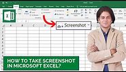 how to take screenshot in Microsoft excel?