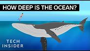 This Incredible Animation Shows How Deep The Ocean Really Is