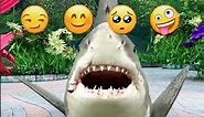 funny sharks emoji 🤣