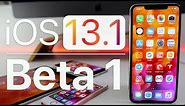 iOS 13.1 Beta 1 is Out! - What's New?