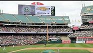 Oakland Athletics - O.Co Coliseum Project Highlight