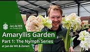 Amaryllis garden | Part 1: The Nymph Series | English | Jan de Wit en Zonen