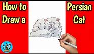 How to Draw a Persian Cat