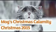 Mog’s Christmas Calamity | Sainsbury’s Ad | Christmas 2015