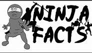 Smelly Sam's Funny Ninja Facts