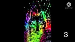14 Wolf wallpapers