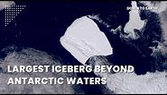 A23a, world's largest iceberg is now drifting beyond Antarctic Waters