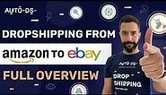 How to Dropship From Amazon to eBay? Full Overview