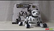 Zoomer Robot Dog Hands On Review - zooLert