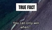 You can only win when.... ||The psychology room #truefacts #facts #reels | The psychology room