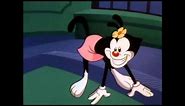 Animaniacs - What Are We? (English)