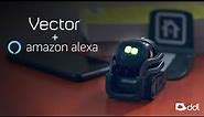 Vector by ddl | Now With Amazon Alexa Built-In