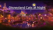 Disneyland Cats at Night - History of Feral Colony of Cats