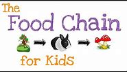 The Food Chain for Kids