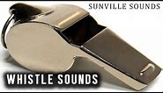 10 Hours of Whistle Sounds | Amazing Sounds with Peter Baeten