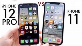 iPhone 12 Pro Vs iPhone 11 In 2023! (Comparison) (Review)