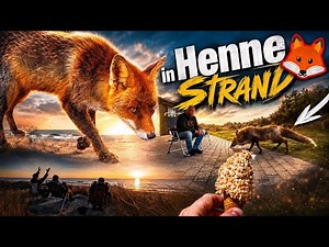 Henne Strand – Eine Woche an der dänischen Nordsee 🇩🇰 | 4K Reisevideo | April 2026