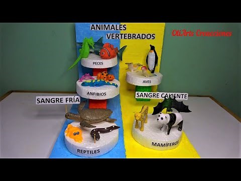 Como hacer MAQUETA de los ANIMALES VERTEBRADOS paso a paso / model of vertebrate animals
