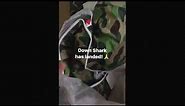 2016 *PREVIEW* Bathing Ape (BAPE) x Adidas Originals Shark Down Jacket ABC Green Camo Unboxing!