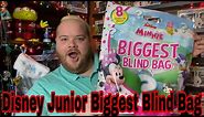 Disney Junior Biggest Blind Bag from Walmart | Minnie Mouse