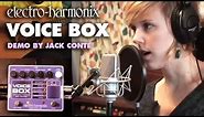Electro-Harmonix Voice Box Vocal Harmony Machine / Vocoder (EHX Pedal Demo by Jack Conte)