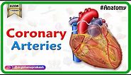 Coronary arteries Anatomy / Blood supply of Heart / Arterial supply of heart : Animation