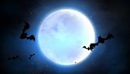 Premium stock video - Halloween background animation with bats and moon